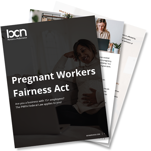 eBook cover: Pregnant Workers Fairness Act